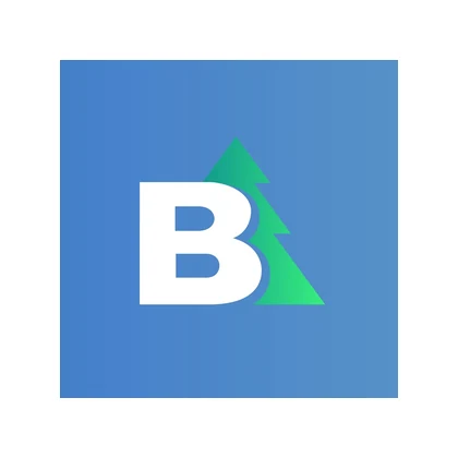 TV Bor
